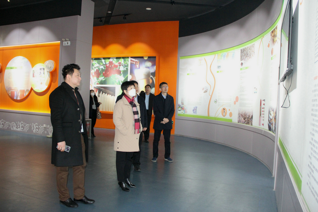 日照市副市長張金梅來潔晶集團(tuán)調(diào)研 日照市副市長張金梅來潔晶集團(tuán)調(diào)研